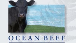 ocean beef beouf qualite import Nouvelle-Zélande qualité entrecôte filet boeuf